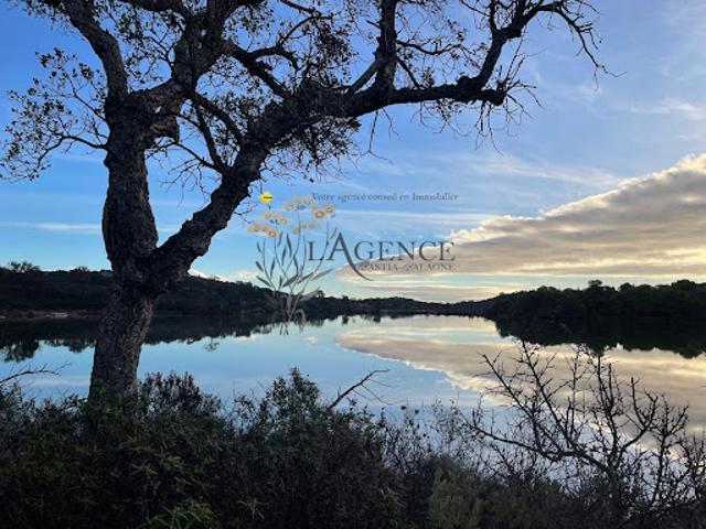 Vente Maison 4 pièces 120 m2 Porto Vecchio