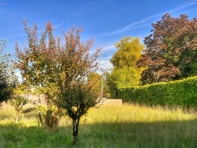 Vente Maison 4 pièces 130 m2 Léognan