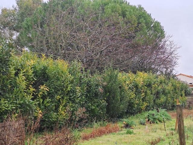 Vente Maison 4 pièces 130 m2 Saint Sulpice de Royan