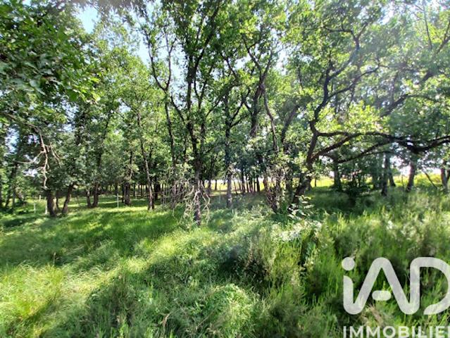 Vente Maison 4 pièces 132 m2 Auvillar