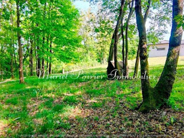 Vente Maison 4 pièces 132 m2 Labastide Clermont