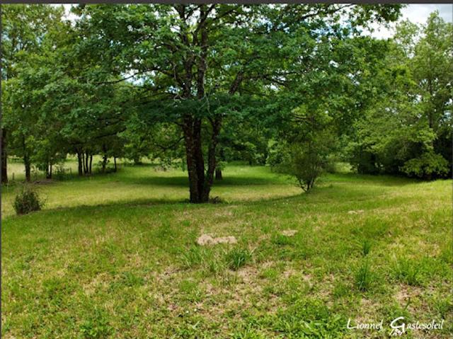 Vente Maison 4 pièces 140 m2 Saint Méard de Gurçon