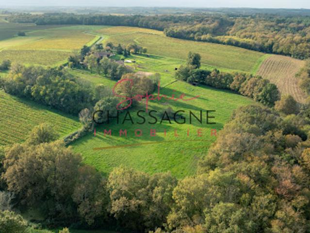 Vente Maison 4 pièces 140 m2 Sauveterre de Guyenne