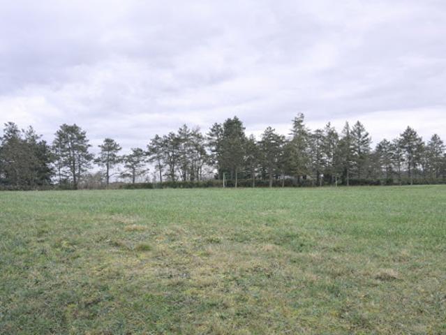 Vente Maison 4 pièces 142 m2 Ginestet