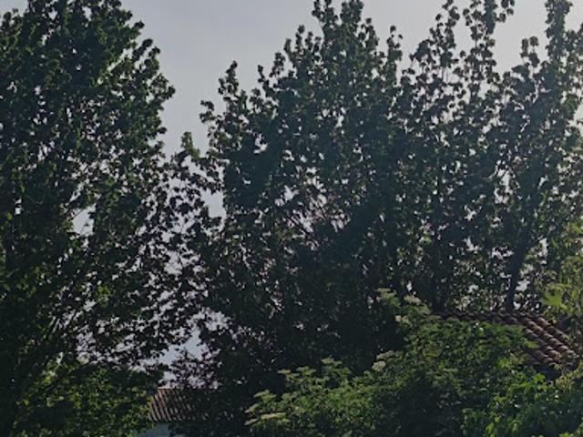 Vente Maison 4 pièces 152 m2 Meschers sur Gironde