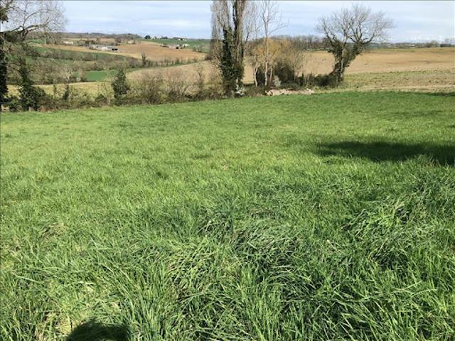 Vente Maison 4 pièces 152 m2 Escassefort