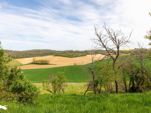Vente Maison 4 pièces 170 m2 Puymirol