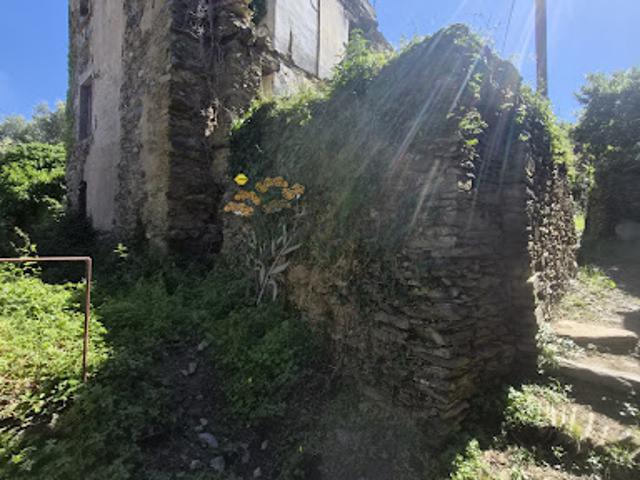 Vente Maison 4 pièces 261 m2 Canari