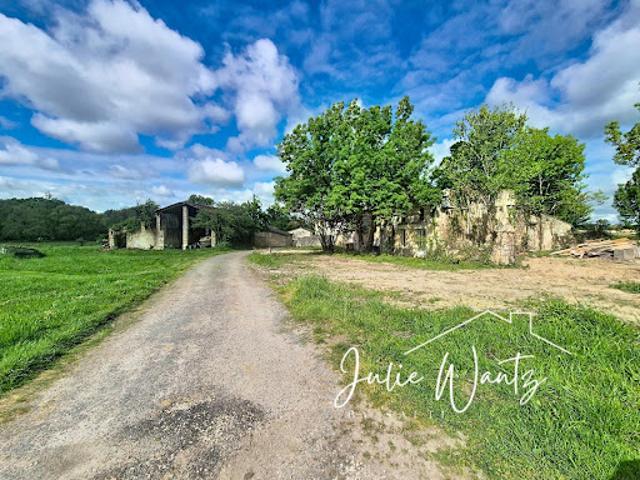 Vente Maison 4 pièces 300 m2 Saint Savin