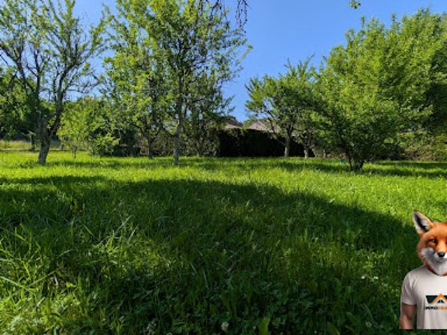 Vente Maison 4 pièces 62 m2 Melisey