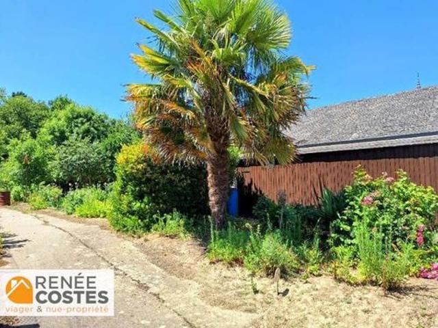 Vente Maison 4 pièces 70 m2 La Guerche de Bretagne