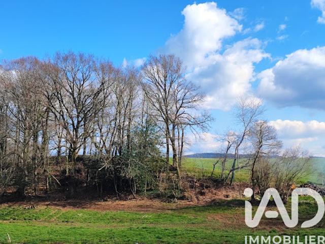 Vente Maison 4 pièces 73 m2 Sansac Veinazès
