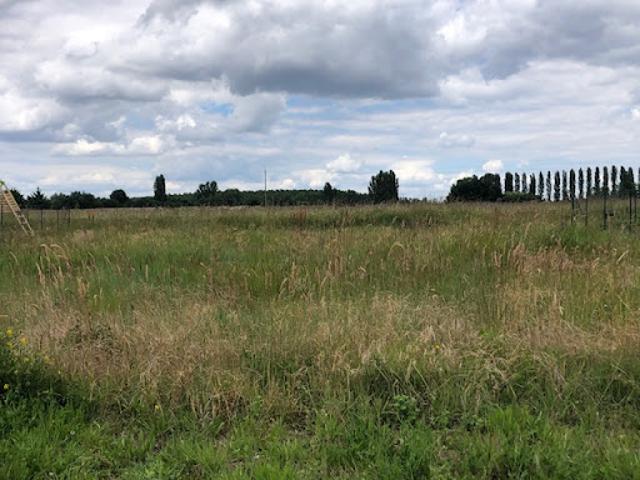 Vente Maison 4 pièces 74 m2 Allonnes