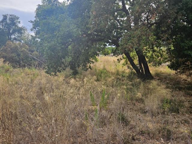 Vente Maison 4 pièces 74 m2 Frejus