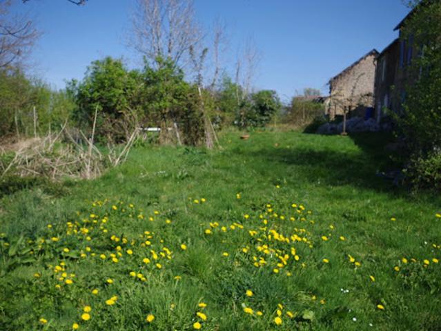 Vente Maison 4 pièces 75 m2 Blismes