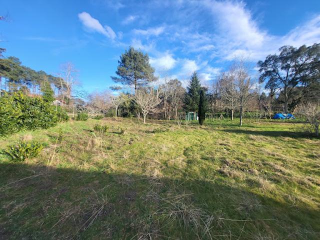 Vente Maison 4 pièces 75 m2 Lévignacq
