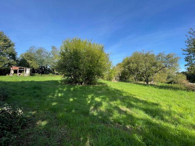 Vente Maison 4 pièces 77 m2 Cercy la Tour