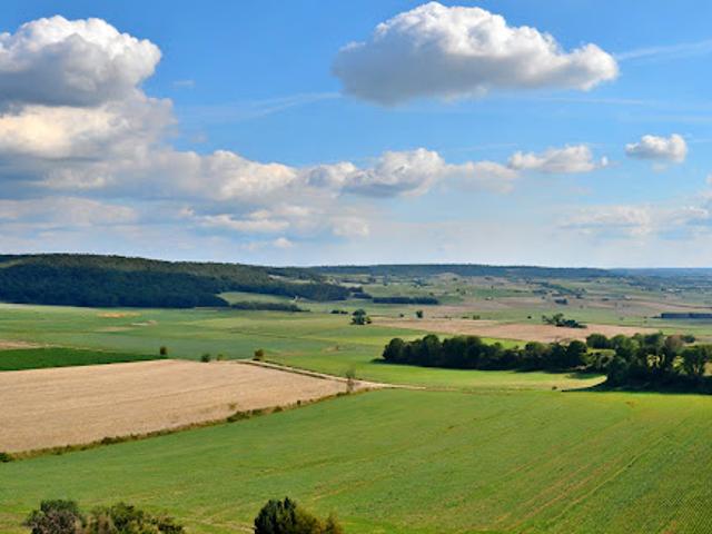 Vente Maison 4 pièces 79 m2 Beton Bazoches