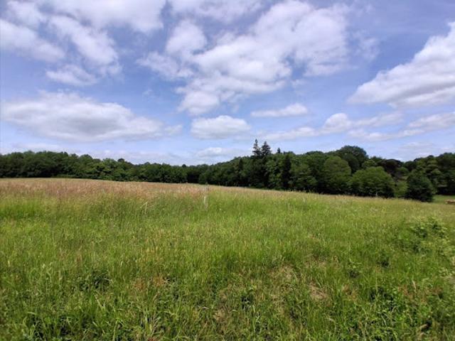 Vente Maison 4 pièces 80 m2 Douville
