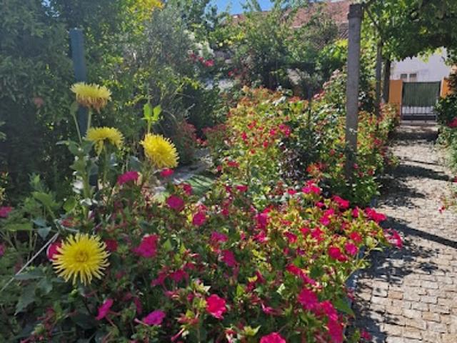Vente Maison 4 pièces 80 m2 Sainte Livrade sur Lot