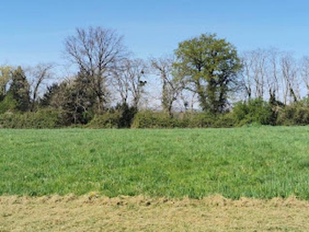 Vente Maison 4 pièces 80 m2 Varennes sur Allier