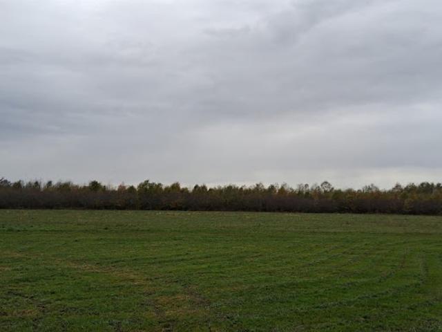 Vente Maison 4 pièces 81 m2 Saint Laurent des Vignes
