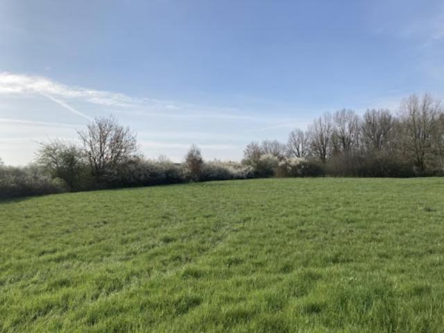 Vente Maison 4 pièces 82 m2 Buzet sur Tarn