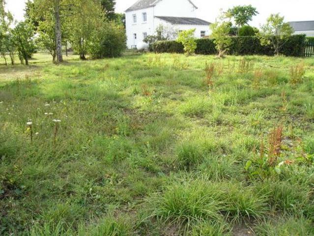 Vente Maison 4 pièces 82 m2 Donges