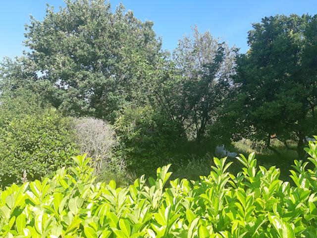 Vente Maison 4 pièces 82 m2 Missillac