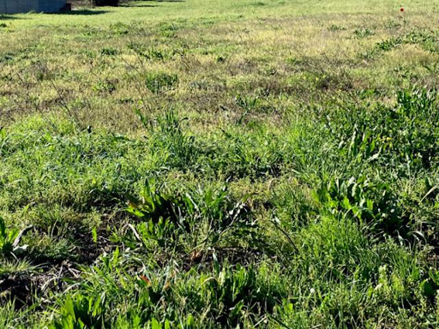 Vente Maison 4 pièces 82 m2 Thezac