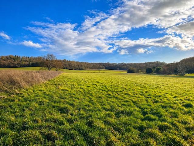 Vente Maison 4 pièces 84 m2 Champagne et Fontaine