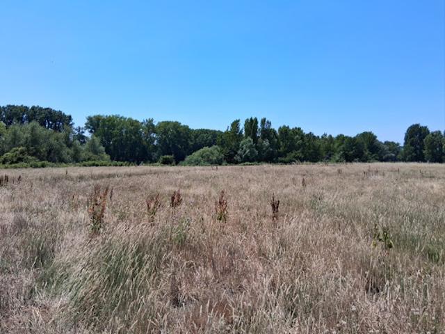 Vente Maison 4 pièces 84 m2 Creysse