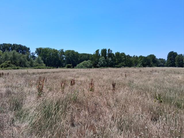 Vente Maison 4 pièces 84 m2 Creysse