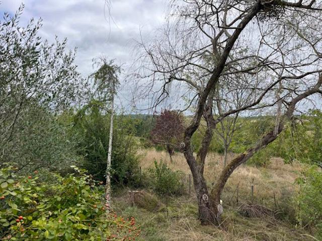 Vente Maison 4 pièces 84 m2 Saint Hilaire de la Noaille