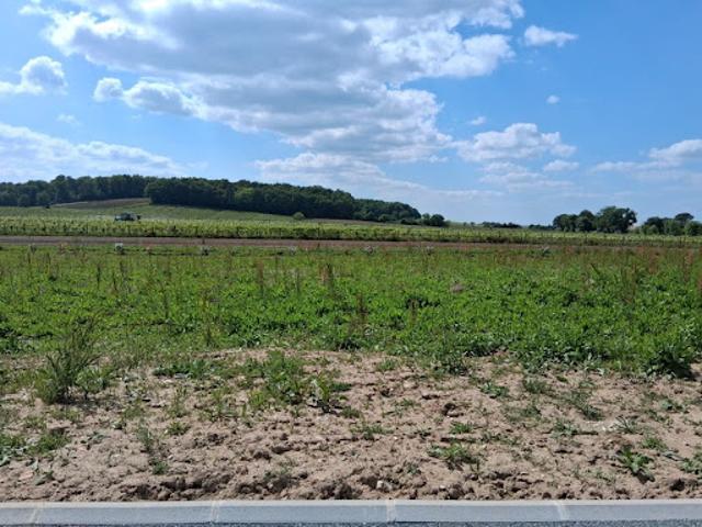 Vente Maison 4 pièces 84 m2 Sigoulès