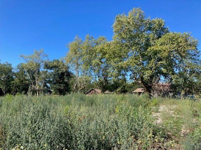 Vente Maison 4 pièces 85 m2 Liposthey