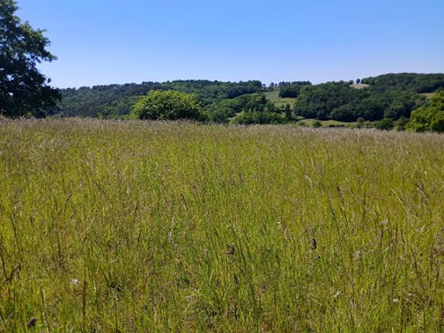 Vente Maison 4 pièces 85 m2 Saint Astier
