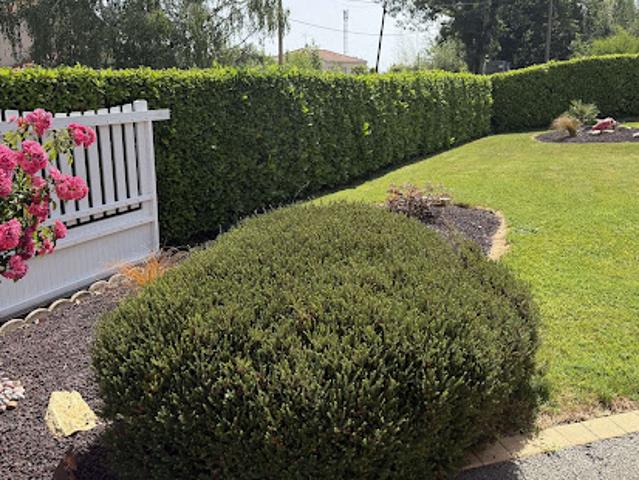 Vente Maison 4 pièces 86 m2 La Châtaigneraie
