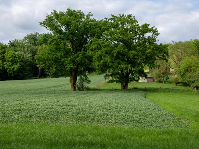 Vente Maison 4 pièces 86 m2 Saint Vivien de Blaye