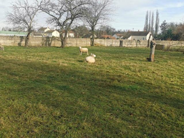 Vente Maison 4 pièces 88 m2 Saint Loup