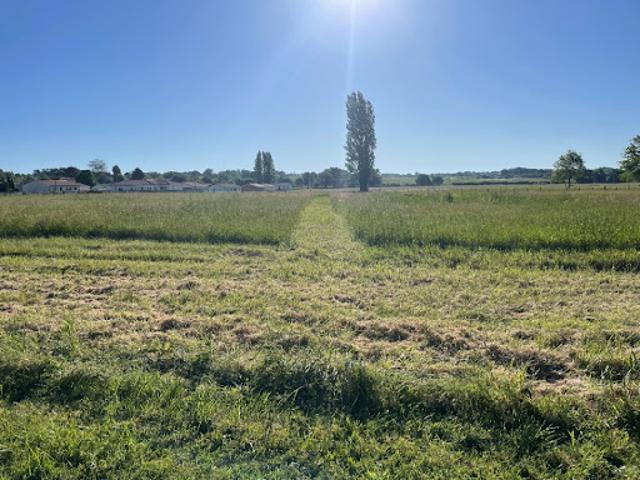 Vente Maison 4 pièces 90 m2 Bourg sur gironde