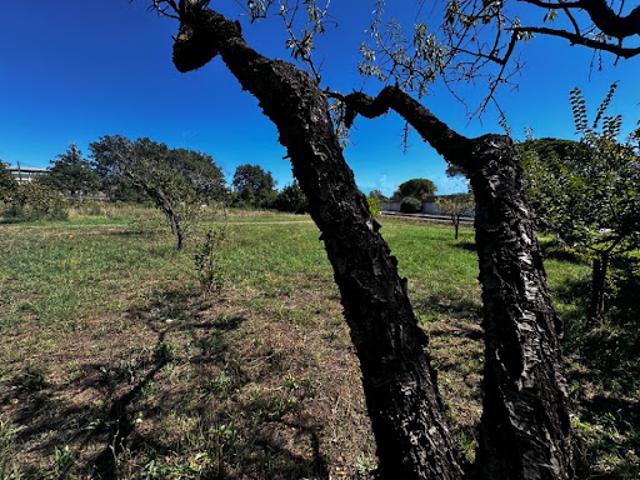 Vente Maison 4 pièces 91 m2 Puget sur Argens