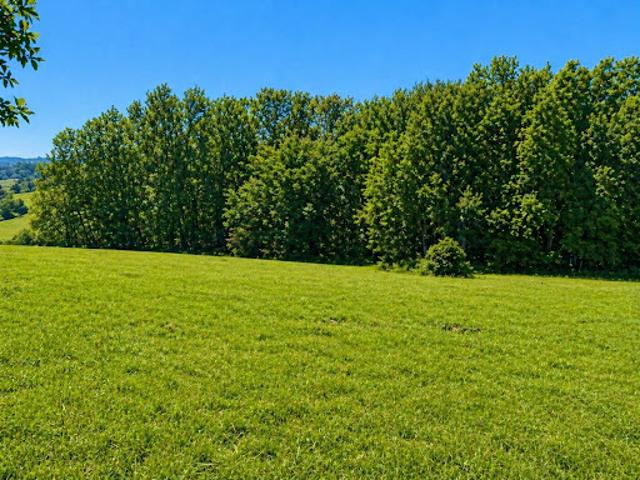 Vente Maison 4 pièces 93 m2 Notre Dame de Sanilhac