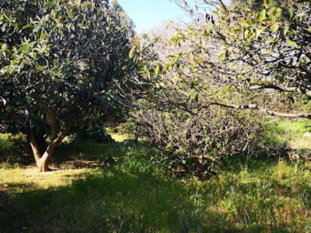 Vente Maison 4 pièces 93 m2 Vers Pont du Gard