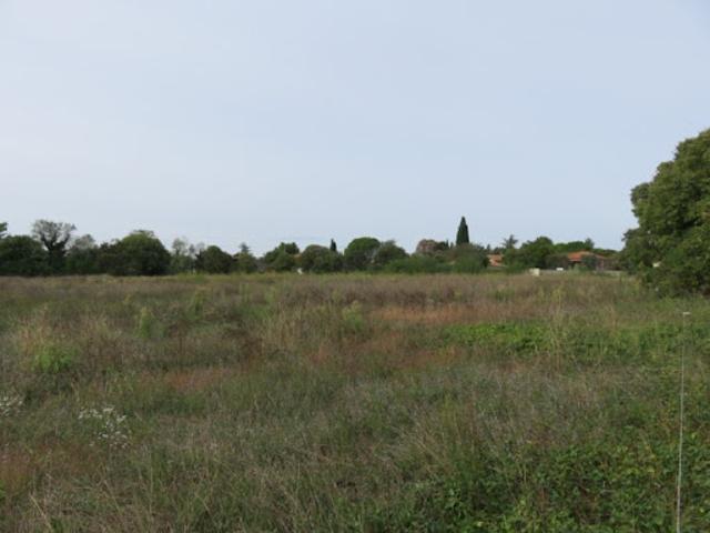 Vente Maison 4 pièces 95 m2 Garrigues Sainte Eulalie