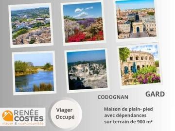 Méditerranée, La Languedocienne Montpellier, Maurin, Hérault, Languedoc-Roussillon