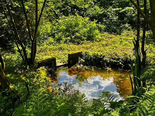Vente Maison 4 pièces 98 m2 Tinchebray
