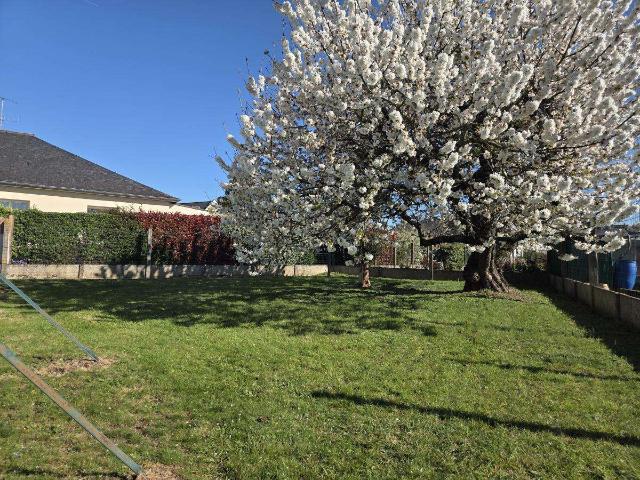 Vente maison 4 pièces Château Gontier 53