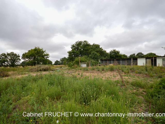 Vente maison 4 pièces L'Oie 85