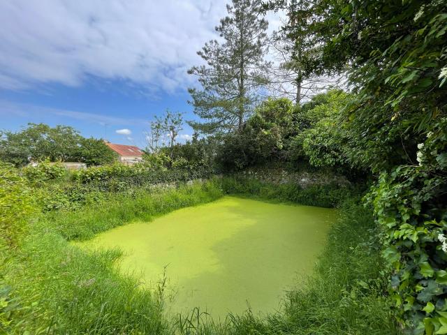 Vente maison 4 pièces Le Mesnil en Vallée 49